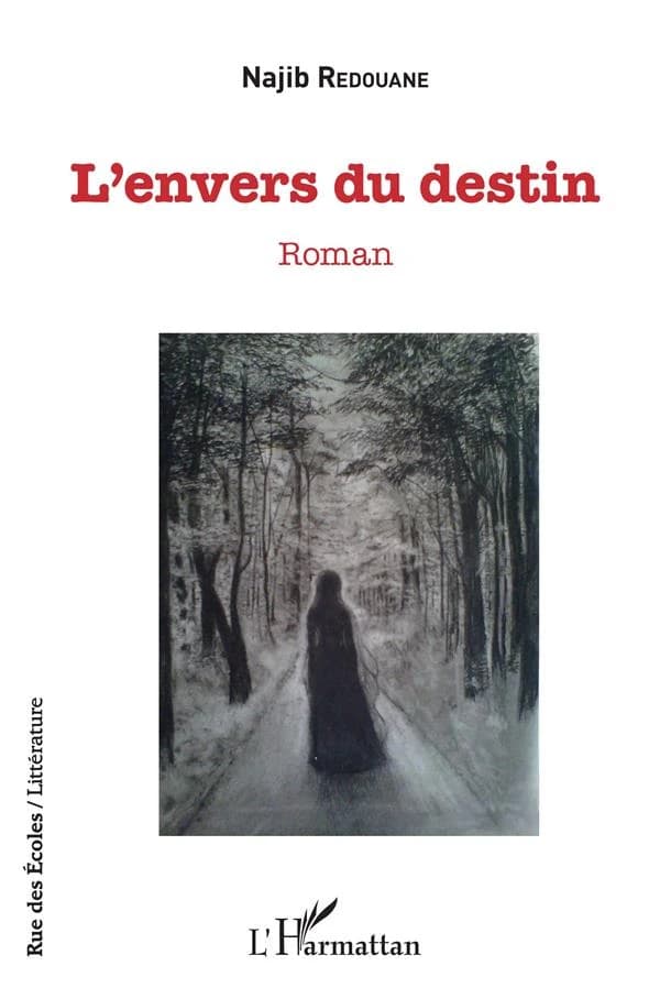 L'envers du destin : roman