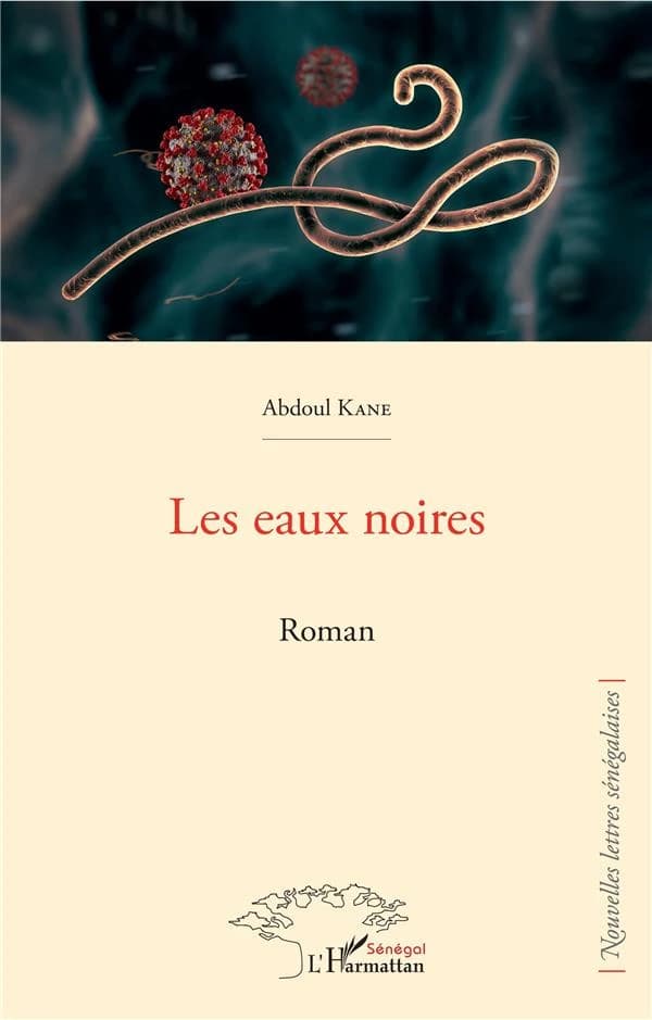Les eaux noires : roman
