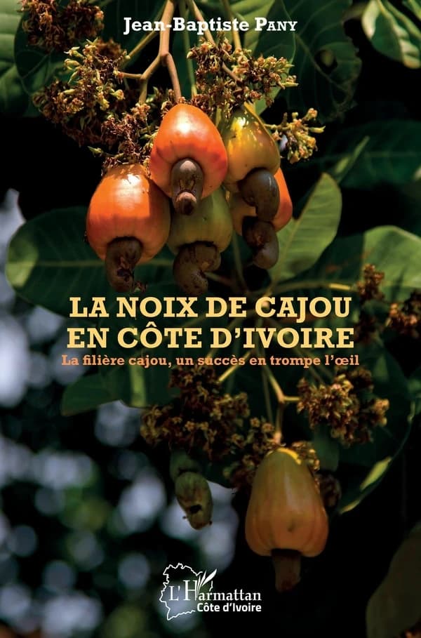 La noix de cajou en Côte d'Ivoire : la filière cajou, un succès en trompe l'oeil