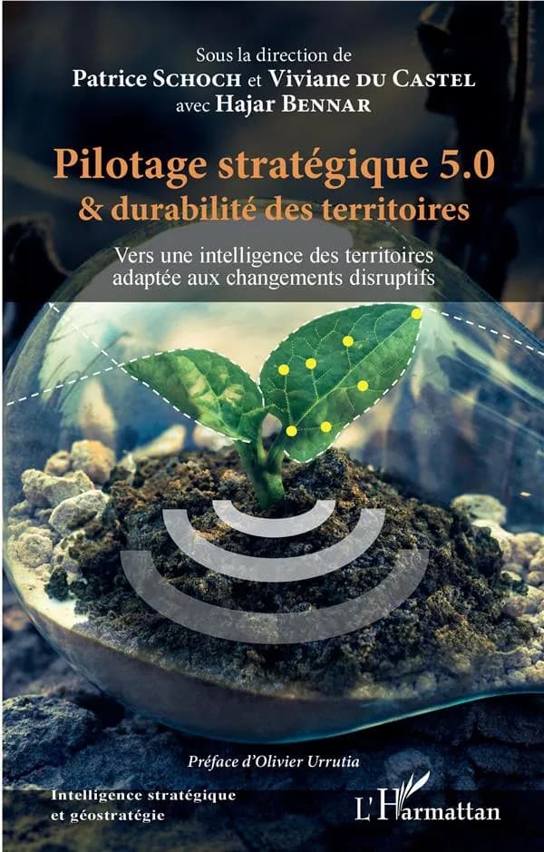 Pilotage stratégique 5.0 & durabilité des territoires : vers une intelligence des territoires adaptée aux changements disruptifs