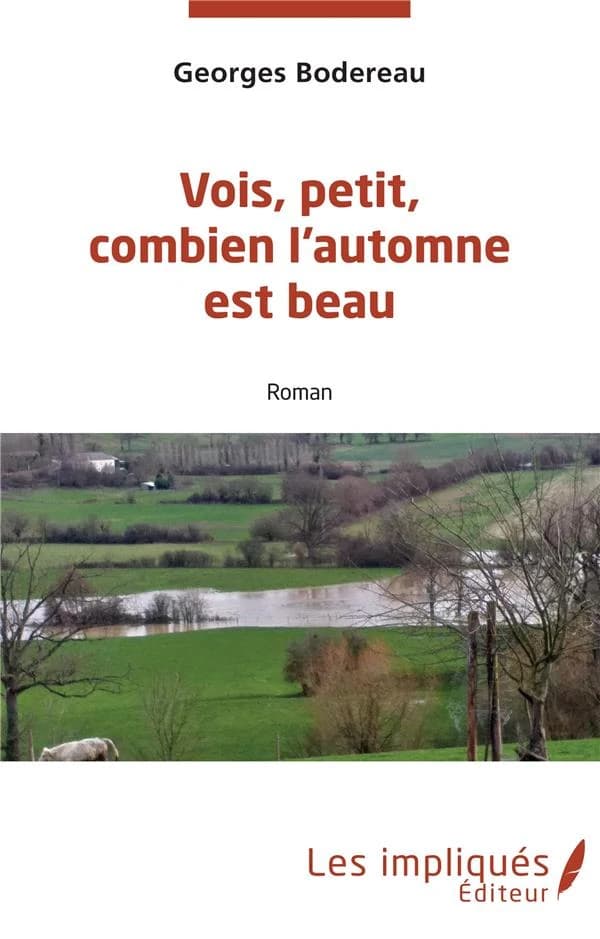 Vois, petit, combien l'automne est beau : roman