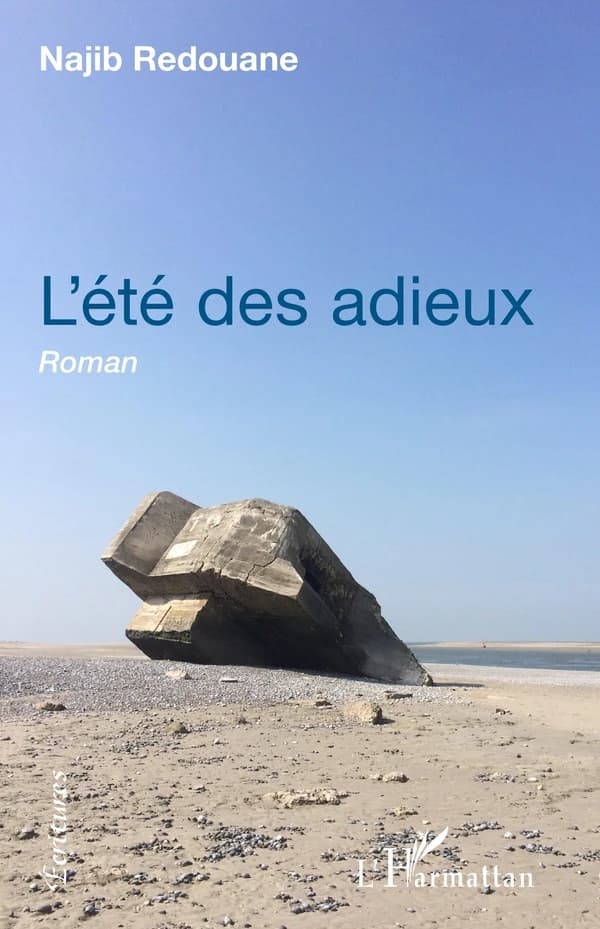 L'été des adieux : roman