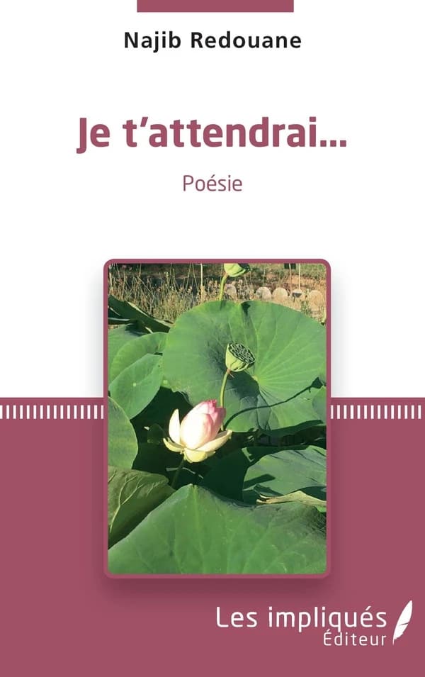 Je t'attendrai : poésie