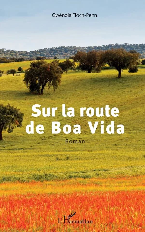 Sur la route de Boa Vida : roman