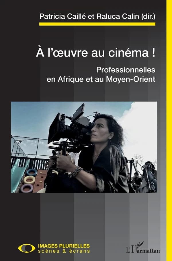 À l'oeuvre au cinéma ! : professionnelles en Afrique et au Moyen-Orient