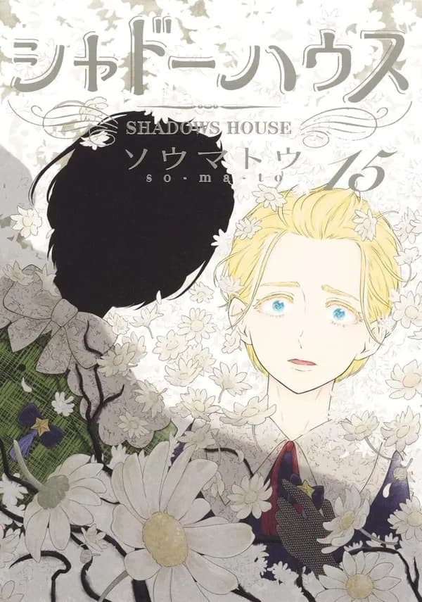 Shadows house 15