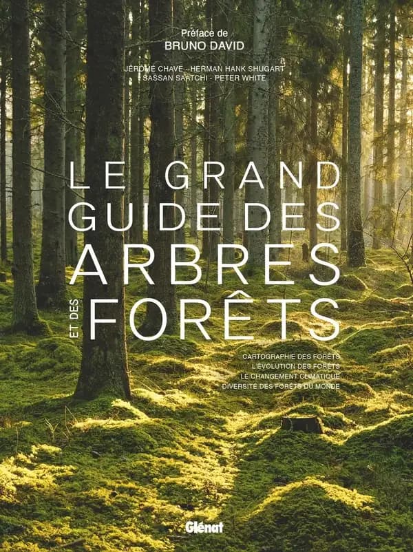 Le grand guide des arbres et des forêts : cartographie des forêts, l'évolution des forêts, le changement climatique, diversité des forêts du monde