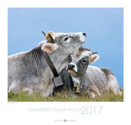 Calendrier fous de vaches 2017