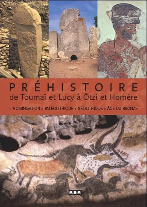 Préhistoire. De Toumaï et Lucy à Ötzi et Homère : l'hominisation, paléolithique, néolithique, âge du bronze