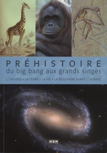Préhistoire : du big bang aux grands singes : l'univers, la terre, la vie, la biosphère avant l'homme (2e éd.) direction et textes, Jean-Marc Perino