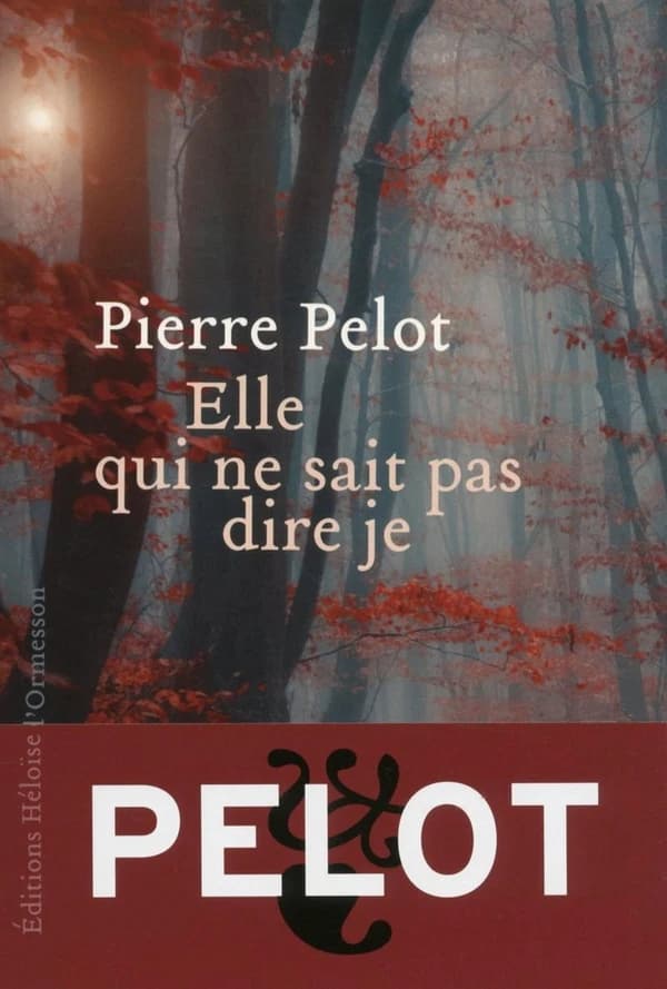 Elle qui ne sait pas dire je : roman