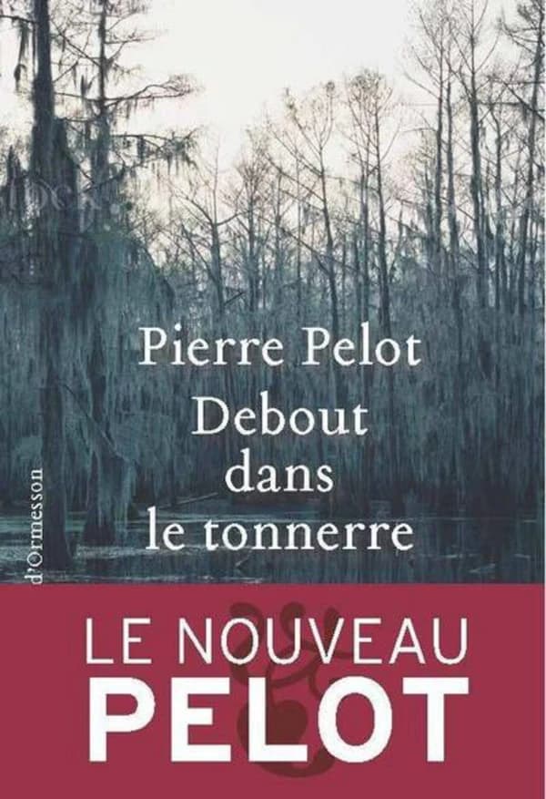 Debout dans le tonnerre : roman
