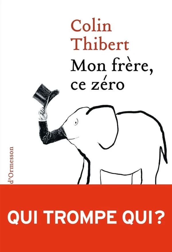 Mon frère, ce zéro : roman
