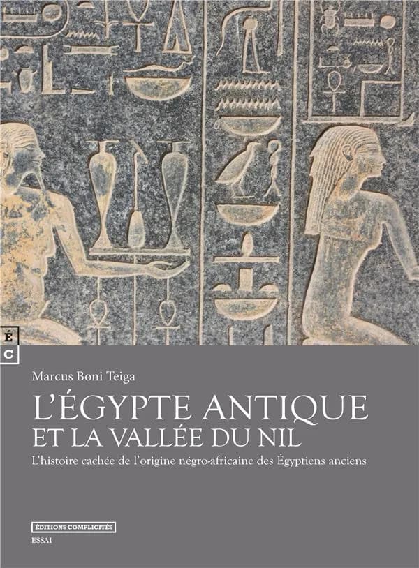 L'Égypte antique et la vallée du Nil : l'histoire cachée de l'origine négro-africaine des Égyptiens anciens : essai