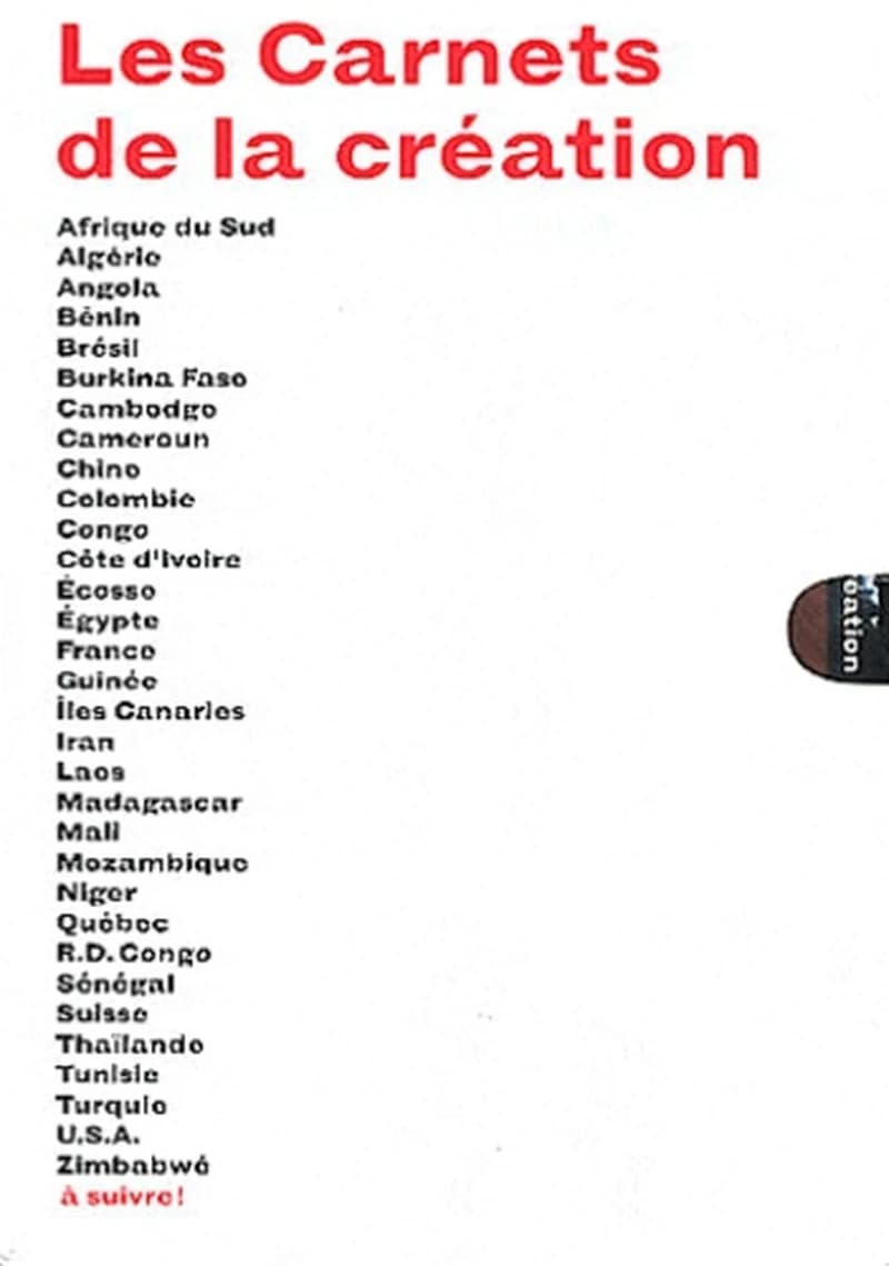 PLASTICIENS D'AFRIQUE