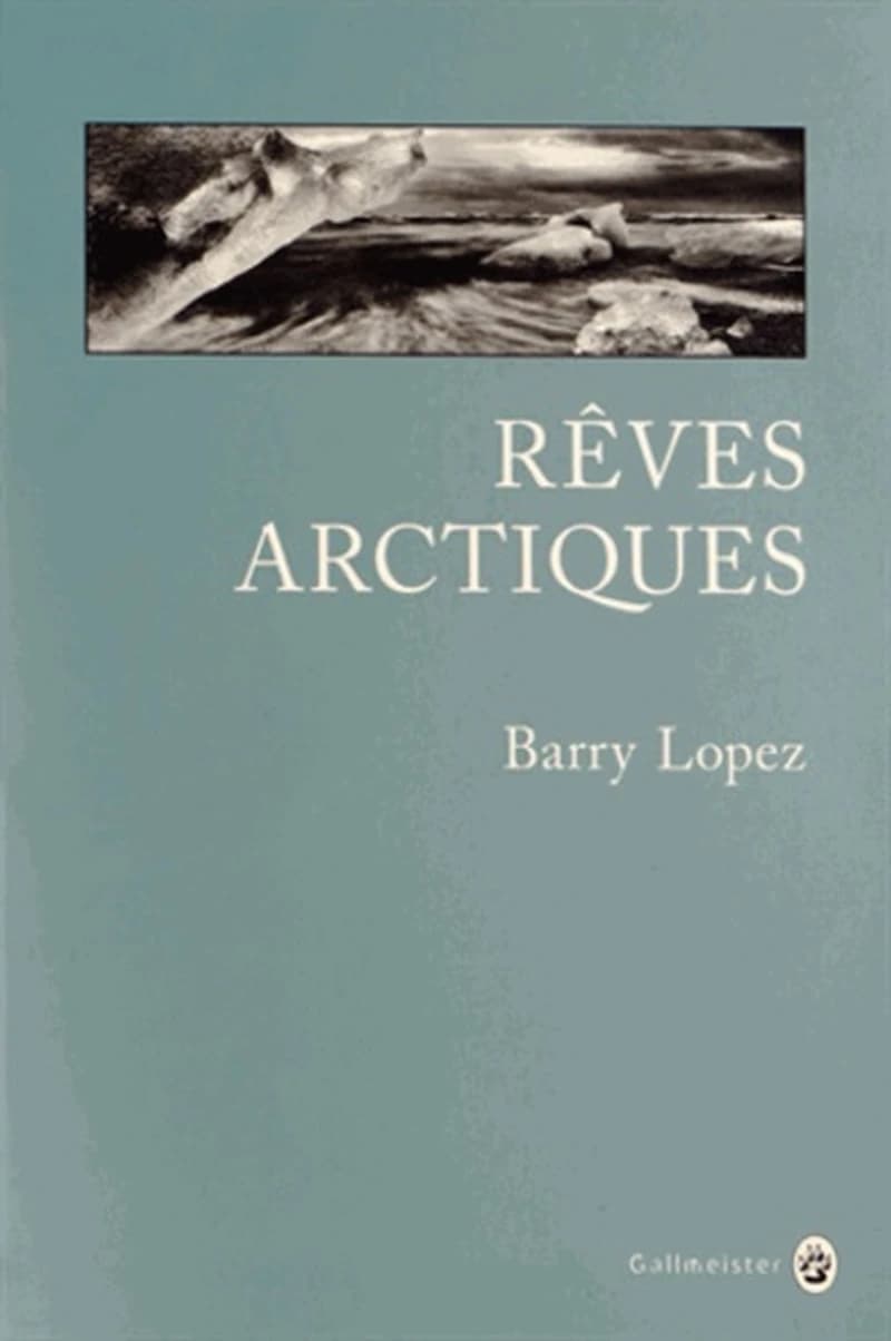 Rêves arctiques : imagination et désir dans un paysage nordique