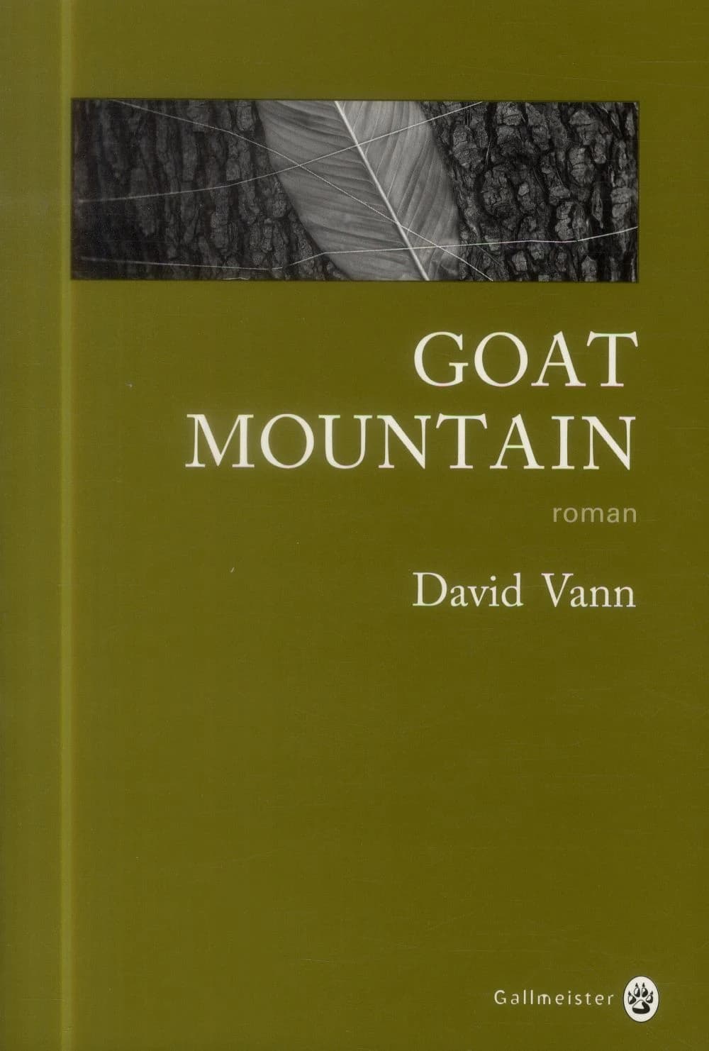 Goat Mountain : roman