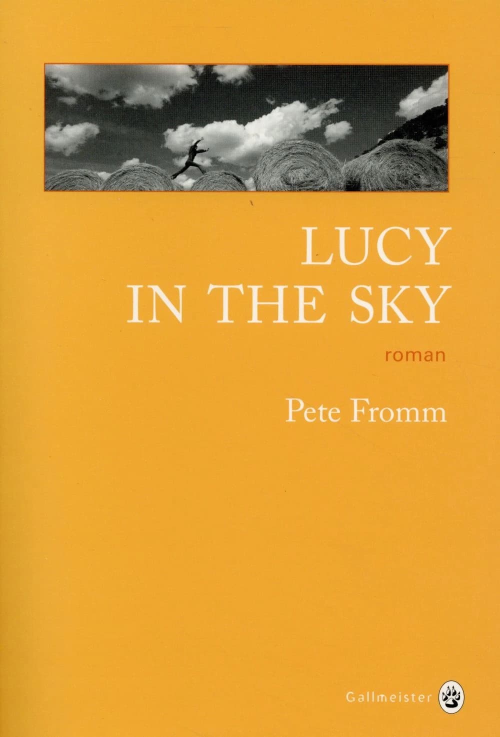 Lucy in the sky : roman