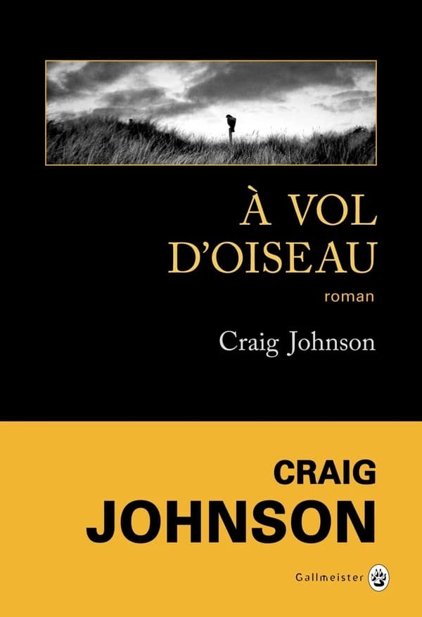À vol d'oiseau : roman