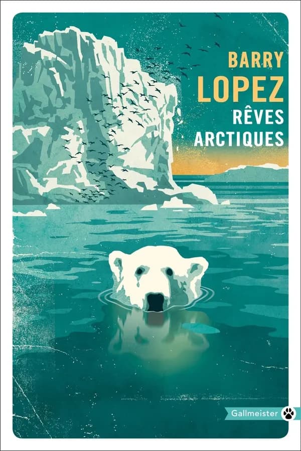 Rêves arctiques : imagination et désir dans un paysage nordique