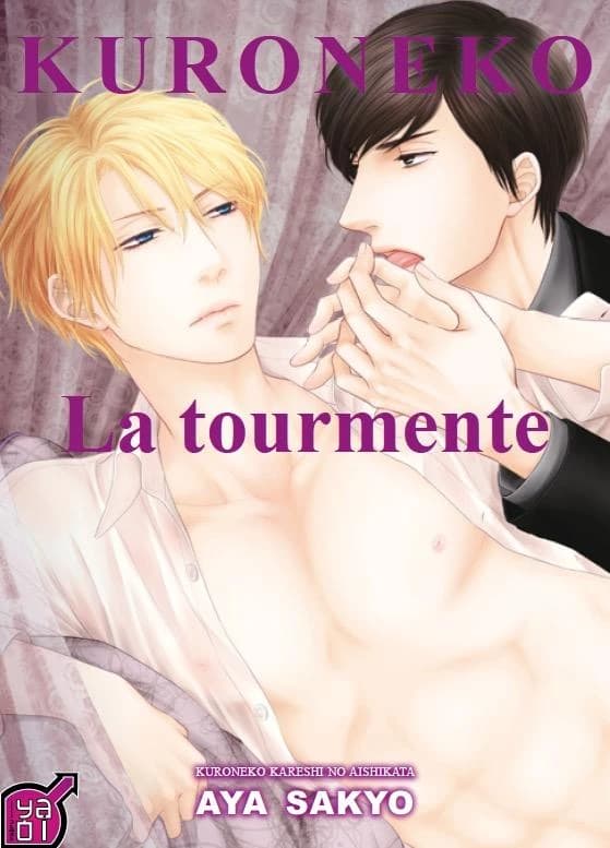 La tourmente