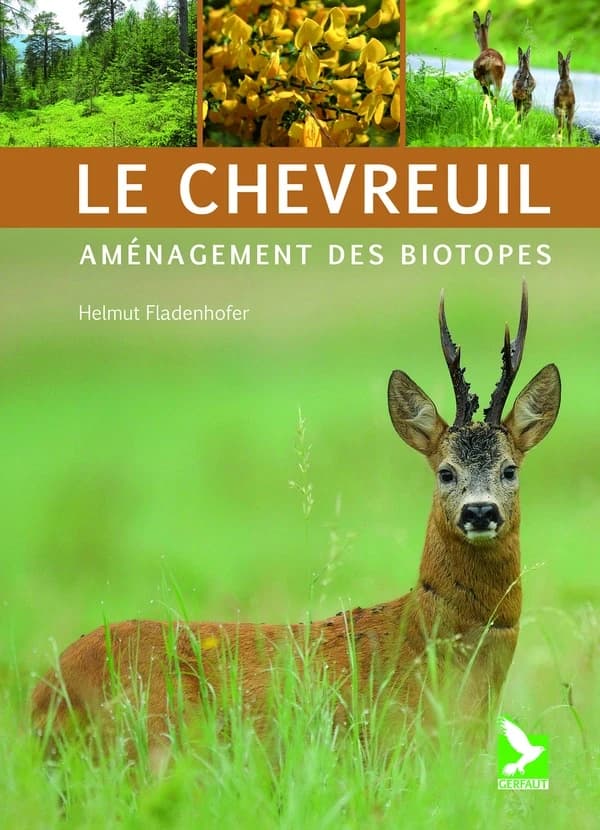 Le chevreuil ; aménagement des biotopes
