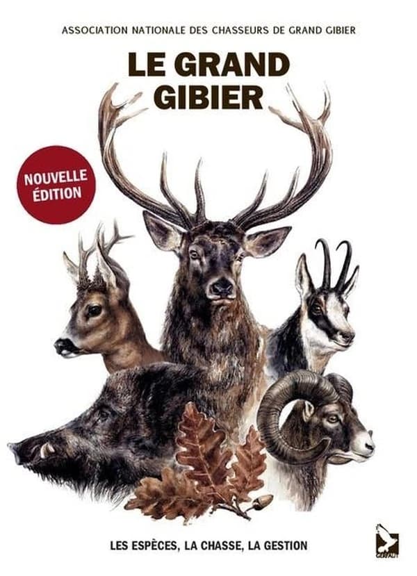 Le grand gibier : Les espèces, la chasse, la gestion
