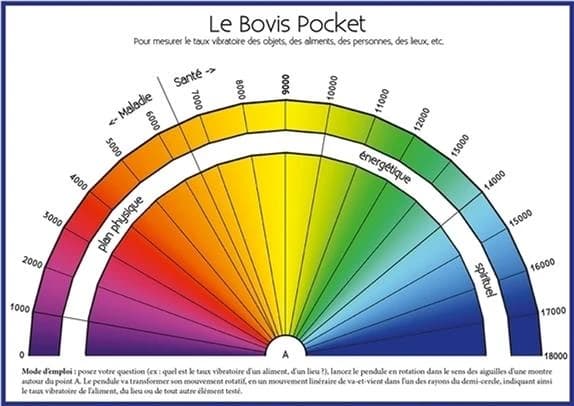 Le bovis pocket ; planche a6