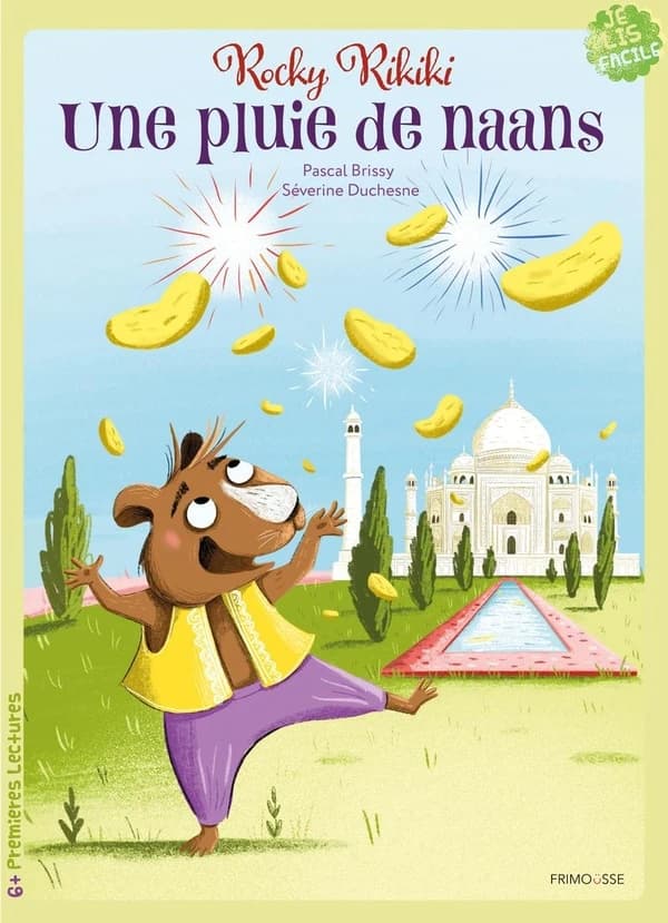 pluie de naans