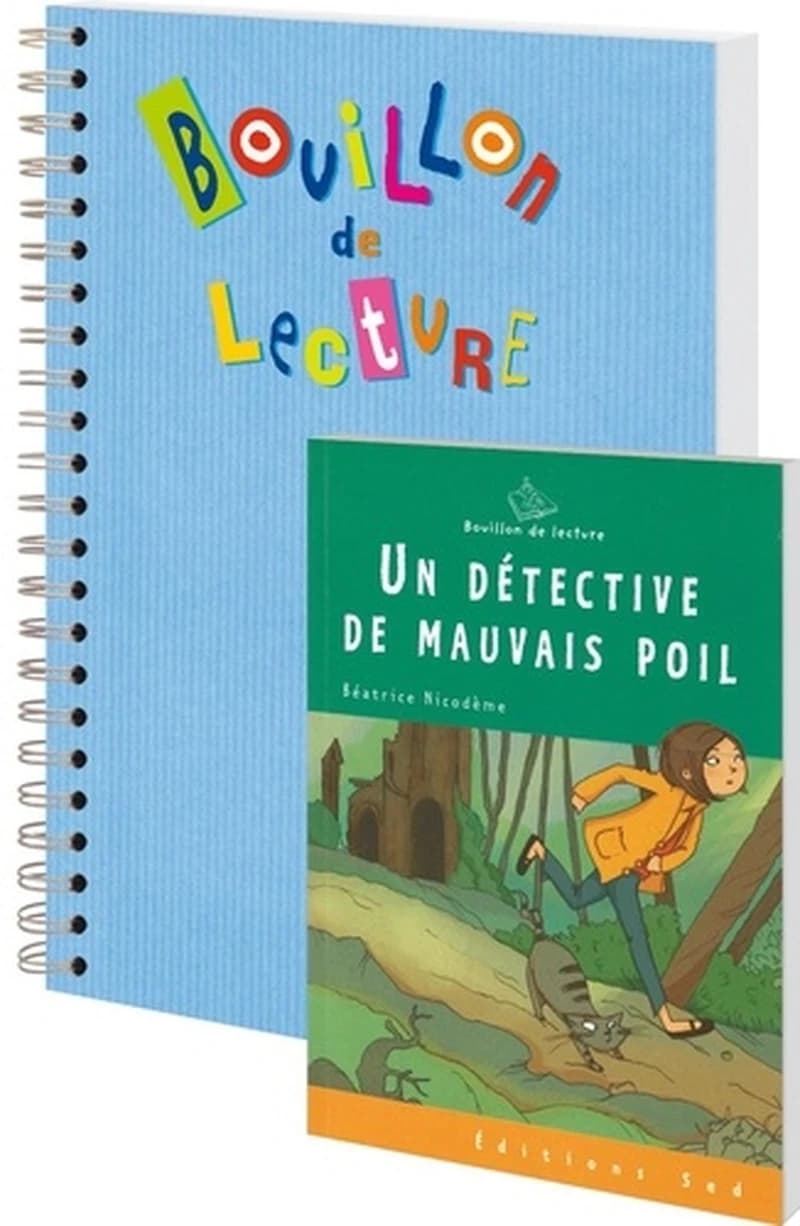 UN DÉTECTIVE DE MAUVAIS POIL