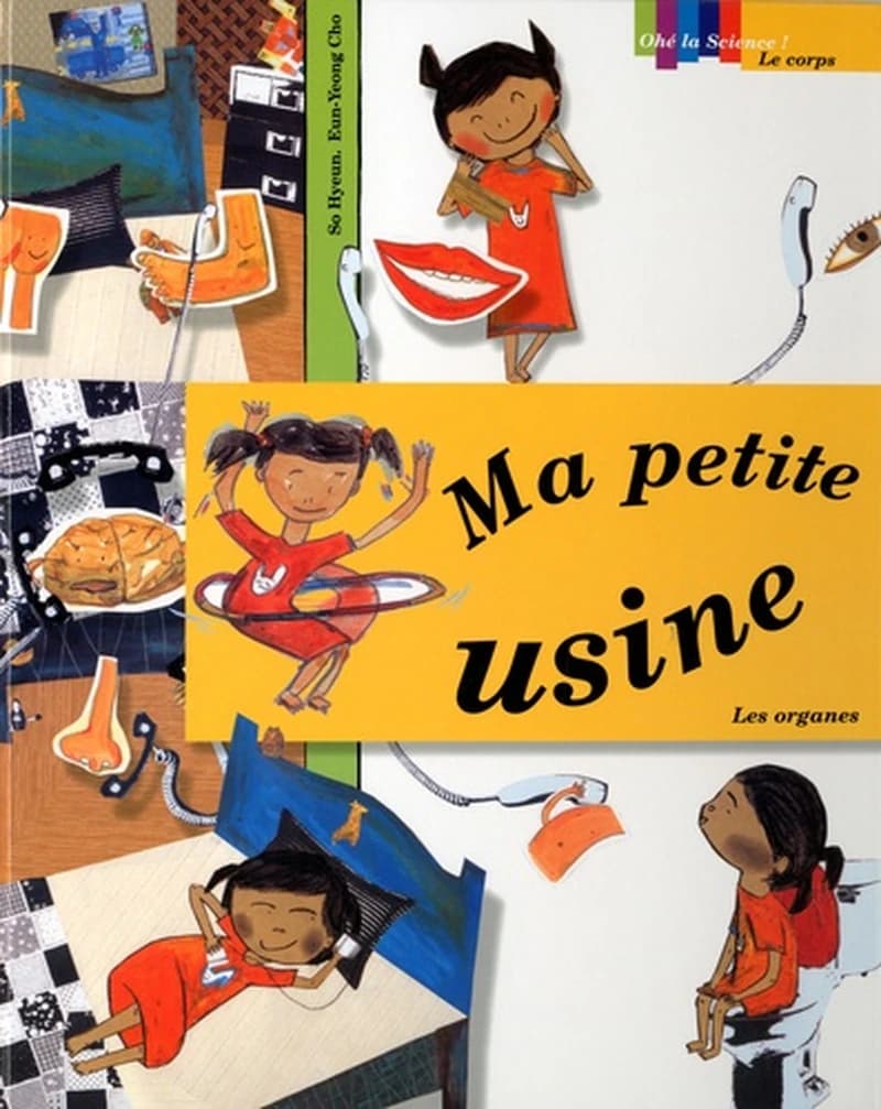 Ma petite usine : les organes