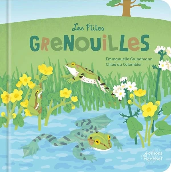Les p'tites grenouilles