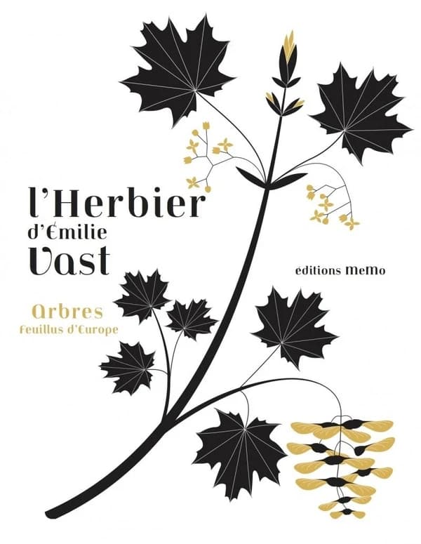 L'herbier d'Émilie Vast : arbres feuillus d'Europe