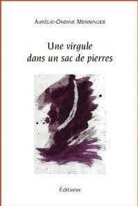 Une virgule dans un sac de pierres : poèmes