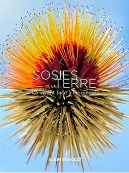 Sosies de la terre : le vivant face à lui-même