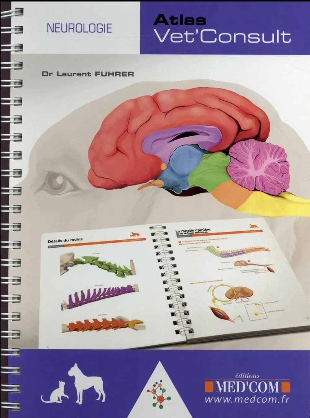 Neurologie