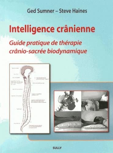Intelligence crânienne : guide pratique de thérapie crânio-sacrée biodynamique