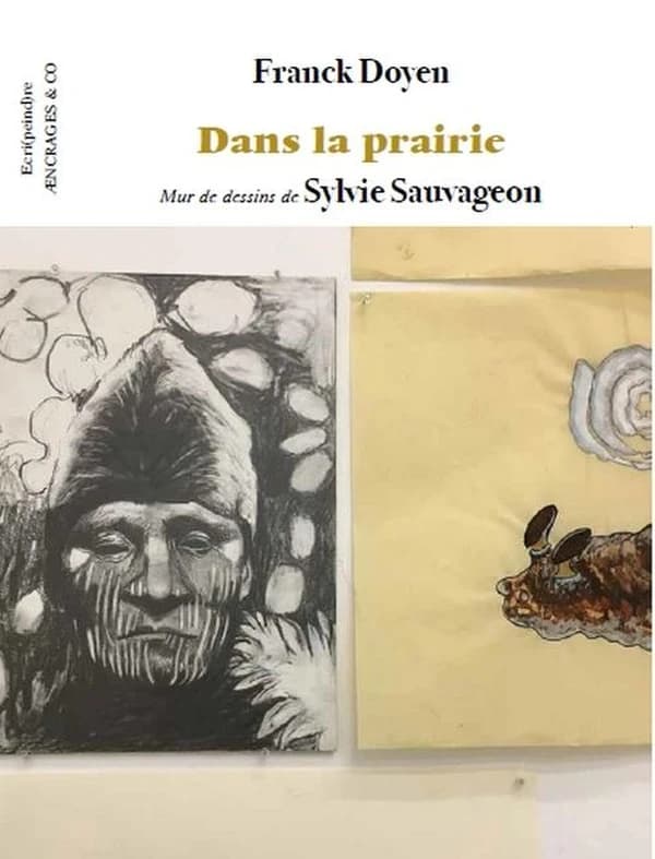 Dans la prairie