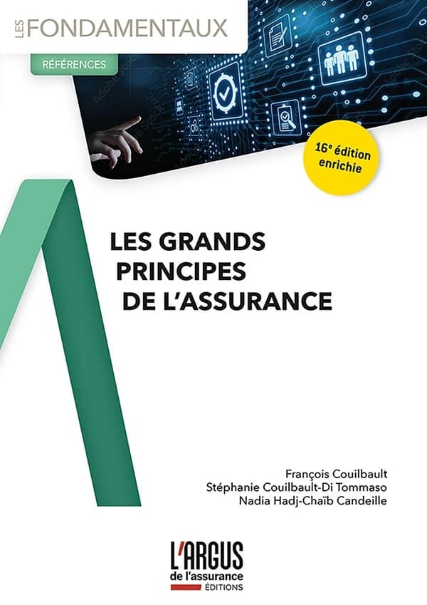 Les grands principes de l'assurance (16e éd. enrichie) François Couilbault, Stéphanie Couilbault-Di Tommaso, Nadia Hadj-Chaïb Candeille