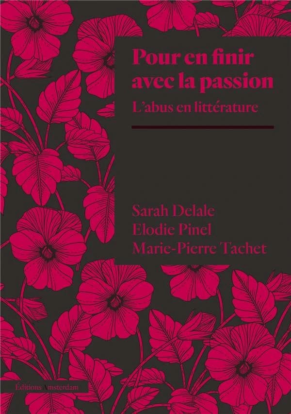 Pour en finir avec la passion : l'abus en littérature