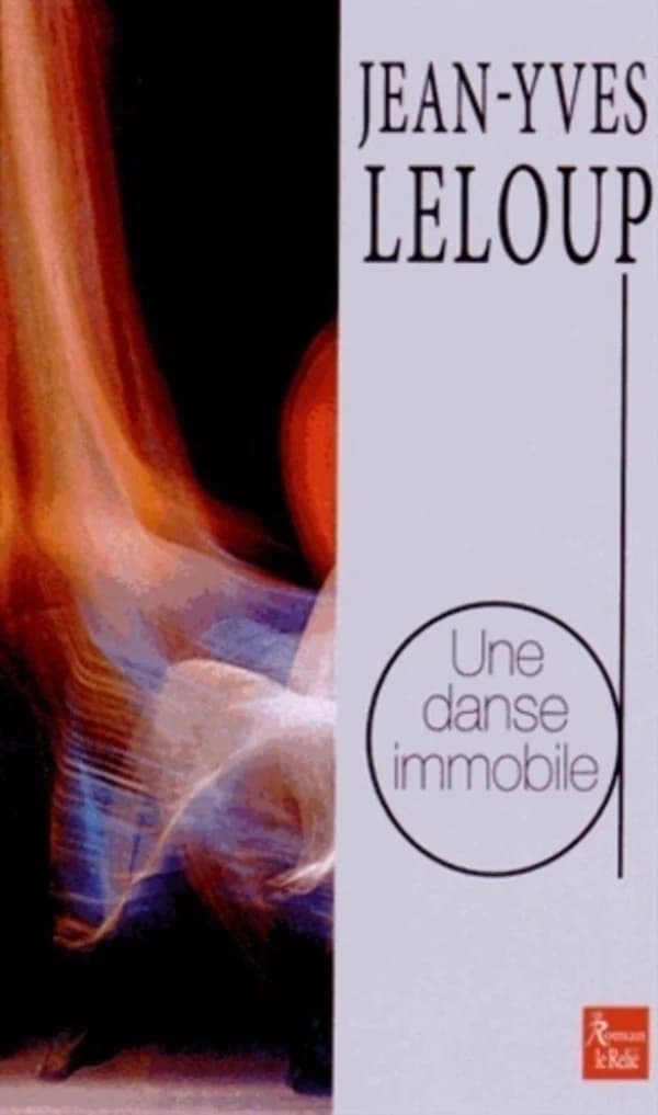 Une danse immobile : roman
