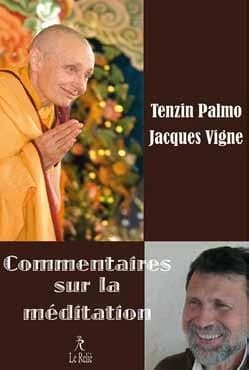 Commentaires sur la méditation : Jacques Vigne rencontre Tenzin Palmo : enseignements sur la spiritualité dans le quotidien