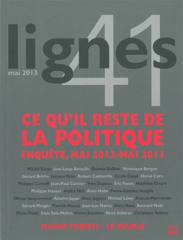 Ce qu'il reste de la politique : Enquête, mai 2012-mai 2013