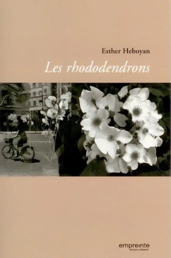 Les rhododendrons
