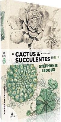 Cactus et succulentes