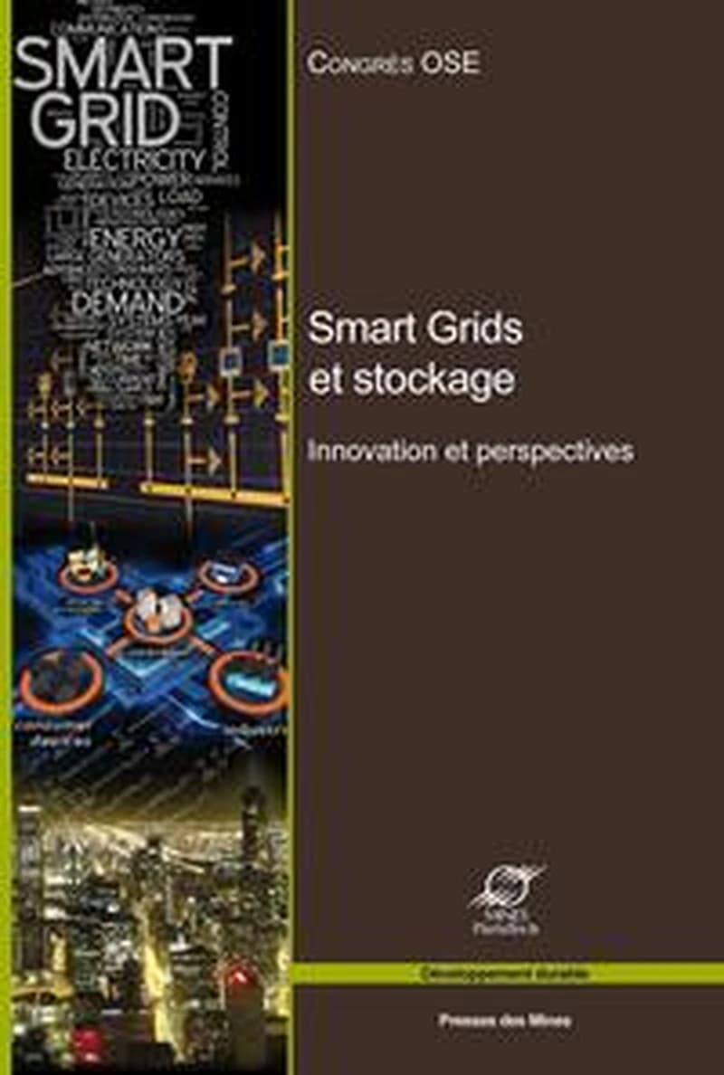 Smart grids et stockage : innovations et perspectives
