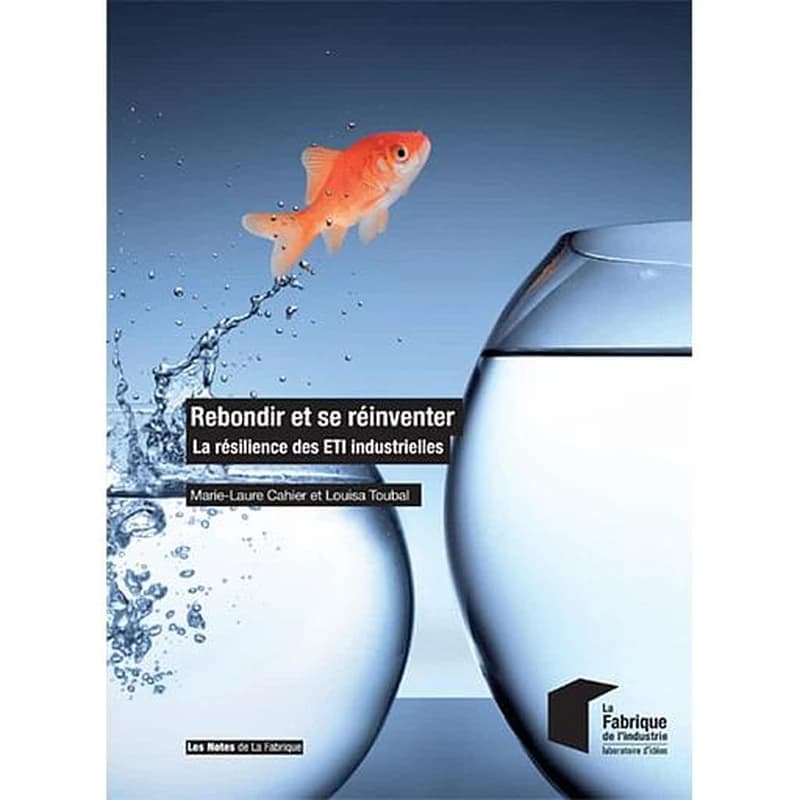 Rebondir et se réinventer : la résilience des ETI industrielles