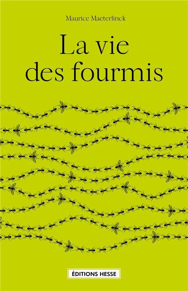 La vie des fourmis