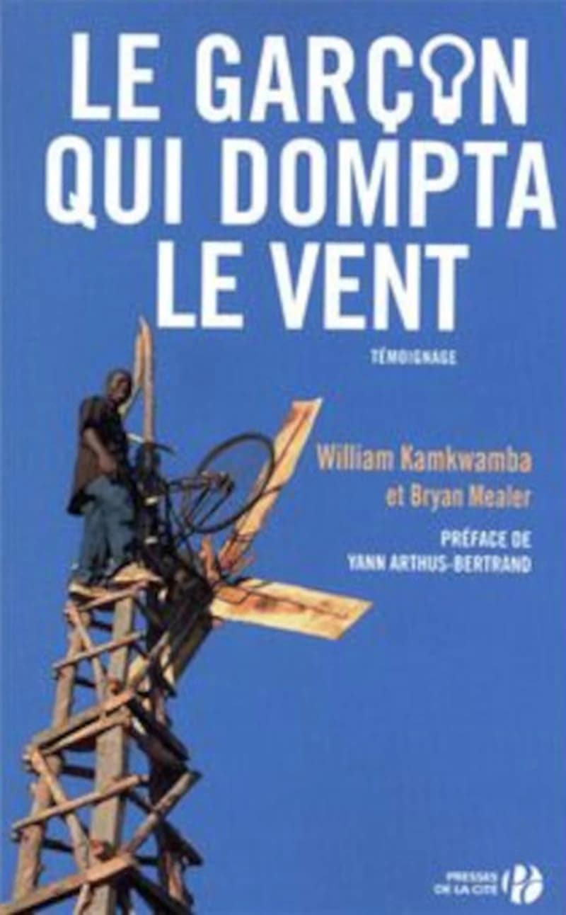 Le Garçon qui dompta le vent