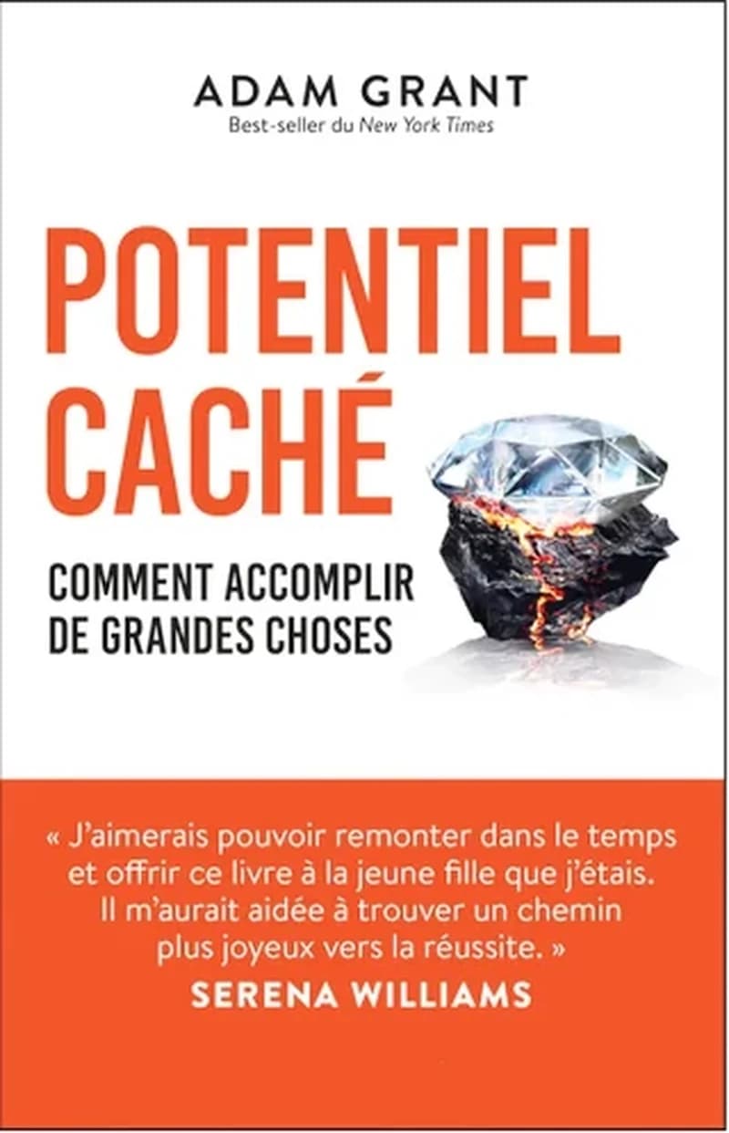 POTENTIEL CACHE - COMMENT ACCOMPLIR DE GRANDES CHOSES